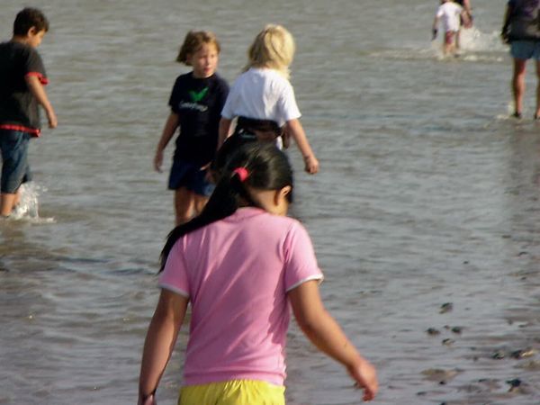 Die deutsche Nordseeküste - Von Borkum nach Hamburg
