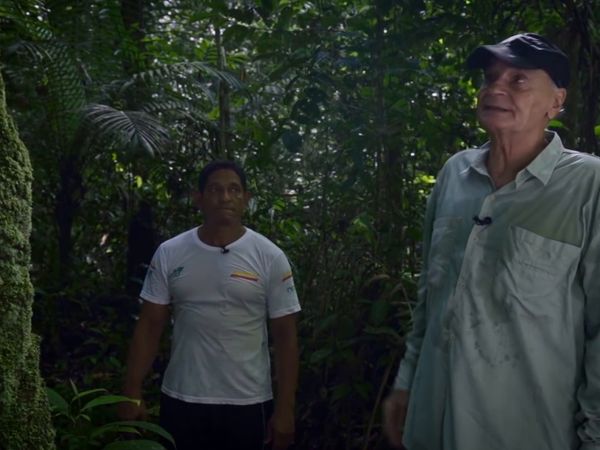 Drauzio em Campo Amazonia - A fragilidade da floresta