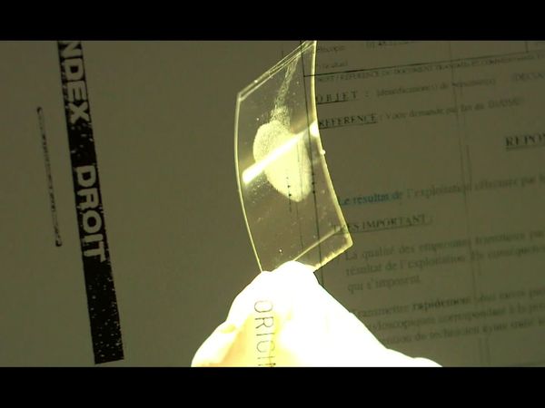 Crime Scene Solvers - A Fatal Student Night (Ste?phane Kameugne Case)