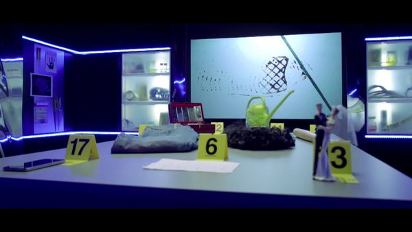 Crime Scene Solvers - The Laurence Dromard Case