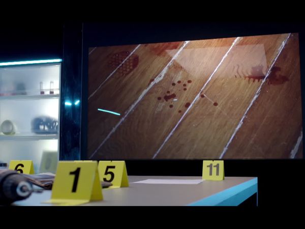 Crime Scene Solvers - The Willy Pomonti Case
