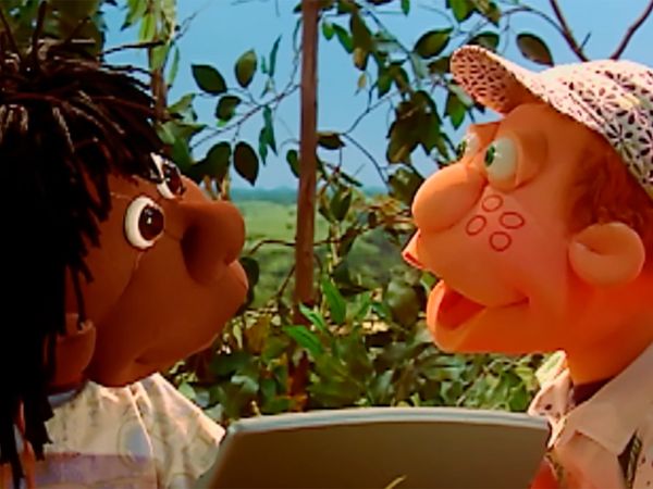 Cocoricó - A memória do João