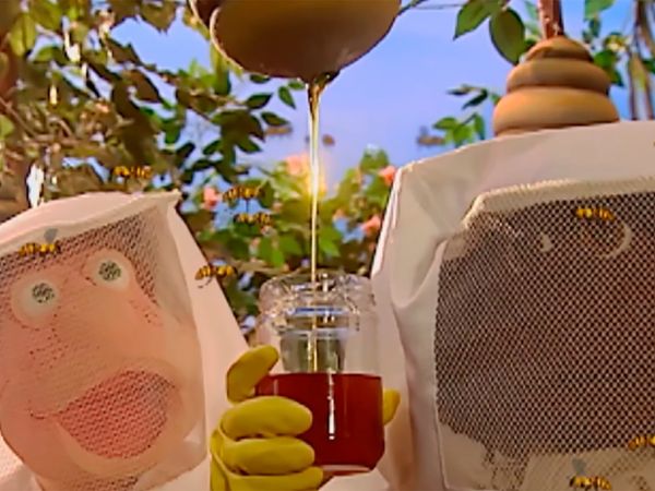Cocoricó - Os abelhudos
