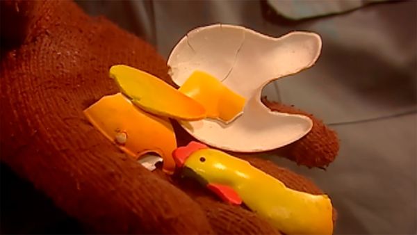 Cocoricó - Os Caçadores da galinha perdida