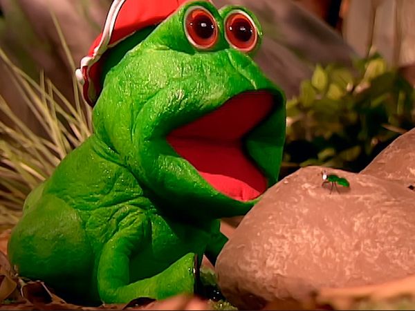 Cocoricó - Medo aqui, medo lá e uma mosca pra contar