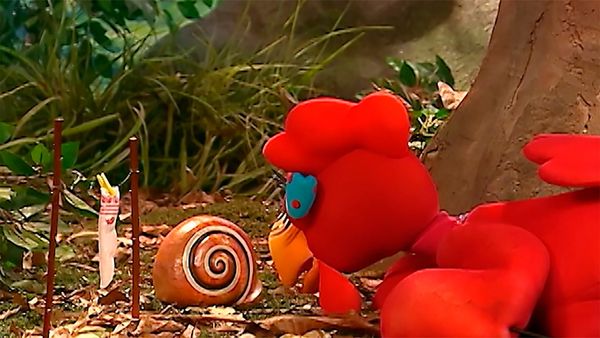 Cocoricó - O bicho grilo