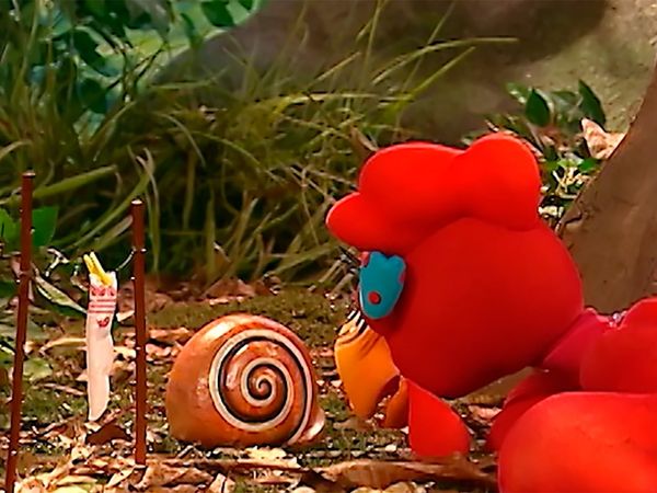 Cocoricó - O bicho grilo