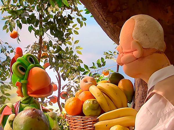 Cocoricó - Por que não posso?