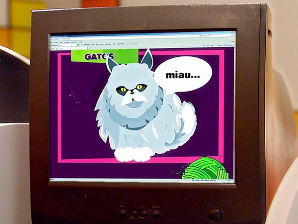 Cocoricó - A invasão dos gatos