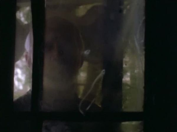 PSI Factor - Chroniken des Paranormalen - Die Untoten