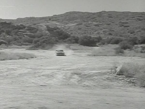 Fury - Die Abenteuer eines Pferdes - Privatdetektive