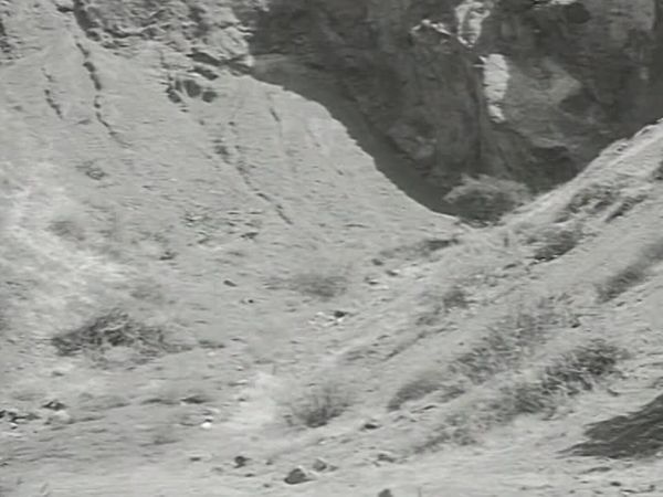 Fury - Die Abenteuer eines Pferdes - Pferdediebe