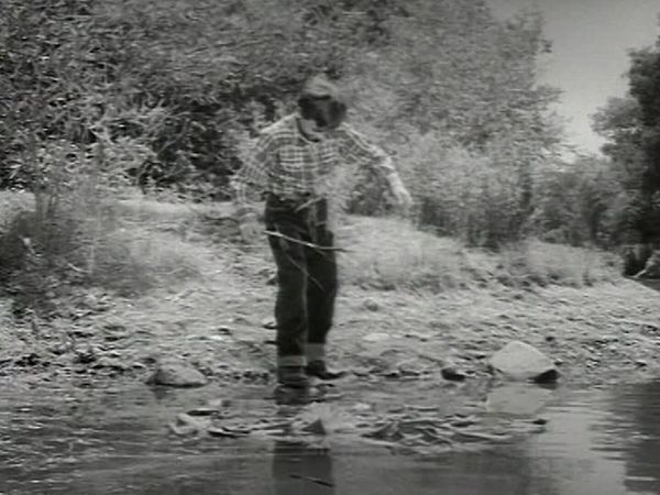 Fury - Die Abenteuer eines Pferdes - Pee Wee wächst heran