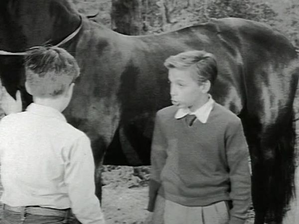 Fury - Die Abenteuer eines Pferdes - Schuldruck