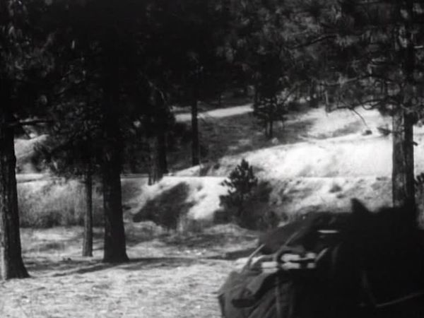 Fury - Die Abenteuer eines Pferdes - Der betrügerische Holzfäller