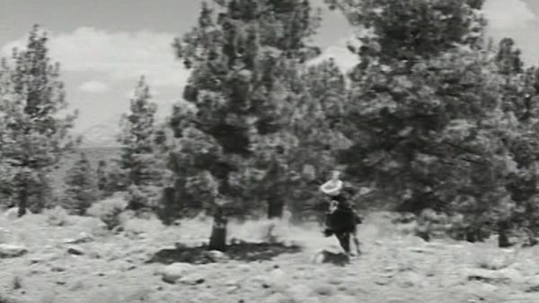 Fury - Die Abenteuer eines Pferdes - Waldbrandgefahr