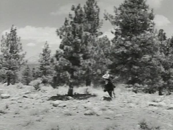 Fury - Die Abenteuer eines Pferdes - Waldbrandgefahr