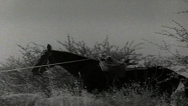 Fury - Die Abenteuer eines Pferdes - Joe zeigt den Weg
