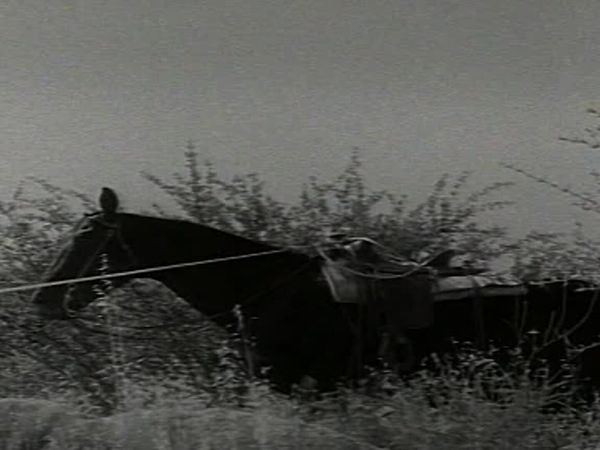 Fury - Die Abenteuer eines Pferdes - Joe zeigt den Weg
