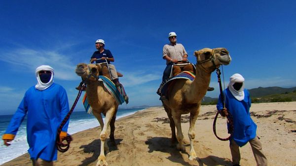 The Travel Detective - Hidden Gems of Los Cabos