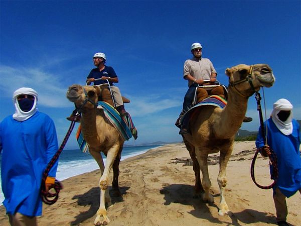 The Travel Detective - Hidden Gems of Los Cabos