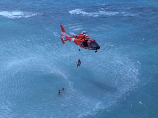 Alerte à Hawaï - L'ile aux requins
