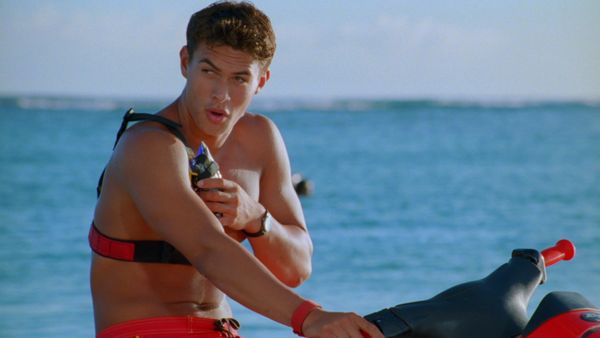 Alerte à Hawaï - Requins en danger