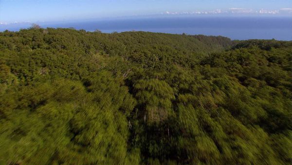 Aerial America – Amerika von oben - Hawaii