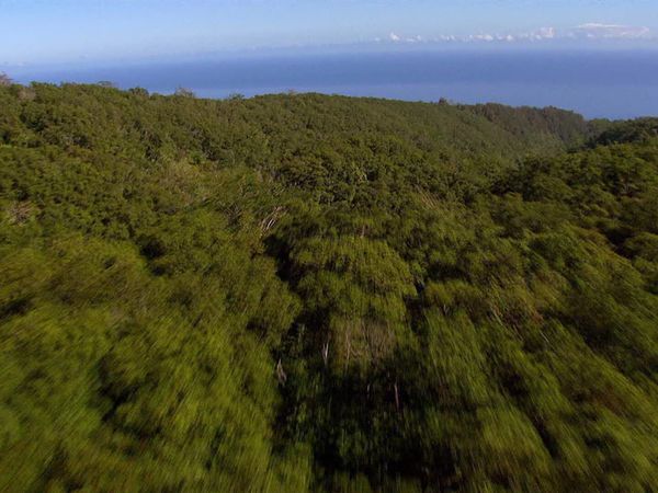 Aerial America – Amerika von oben - Hawaii