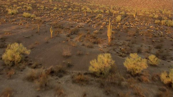 Aerial America – Amerika von oben - Arizona