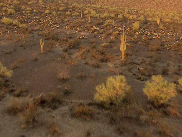 Aerial America – Amerika von oben - Arizona