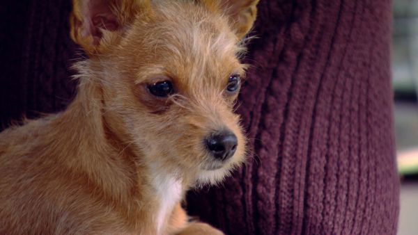 The Only Way Is Essex - Episode 13