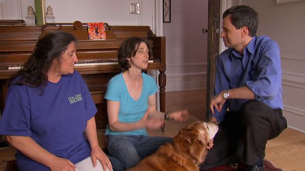 scienceNOW - What Are Animals Thinking?