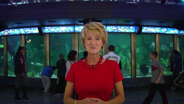 Museum Access - The John G. Shedd Aquarium