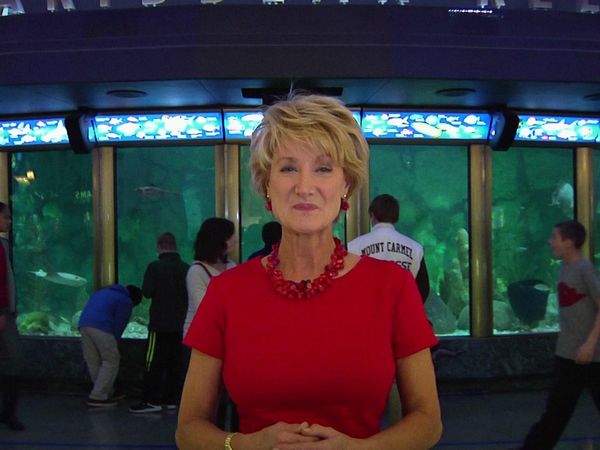 Museum Access - The John G. Shedd Aquarium
