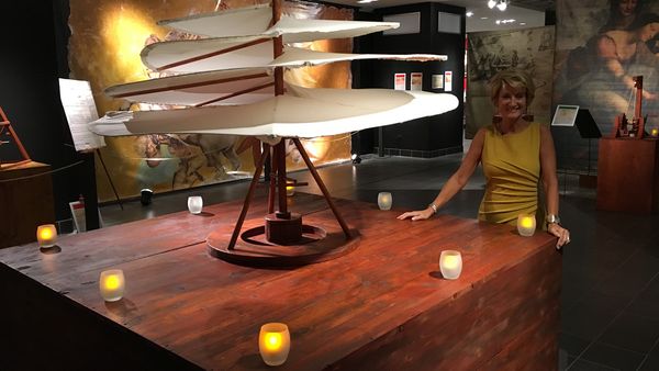 Museum Access - The da Vinci Machines Exhibition
