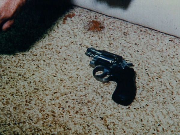 Forensic Files - Second Shot at Love