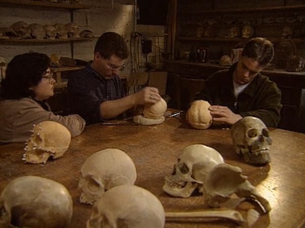 Forensic Files - Crime Seen