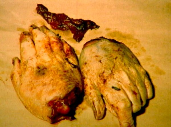 Forensic Files - Hand Delivered