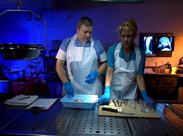 Forensic Files - Killer Impression