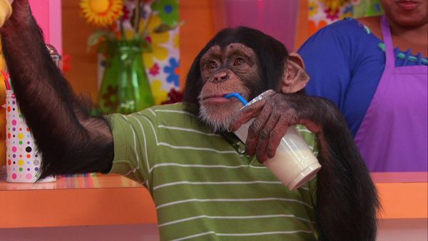 The Fresh Beat Band - Chimps in Charge