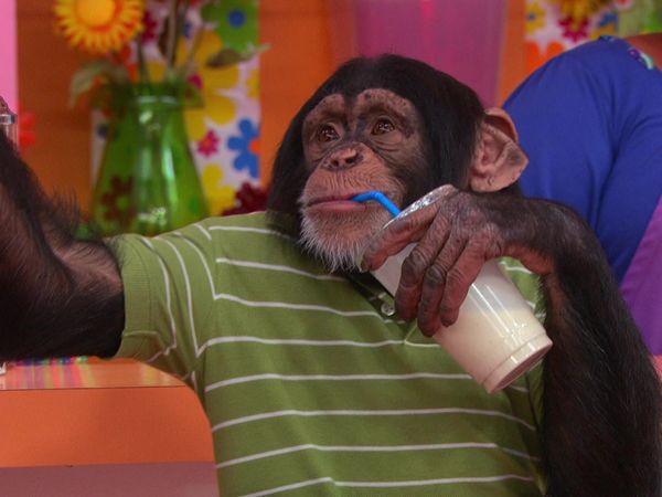The Fresh Beat Band - Chimps in Charge