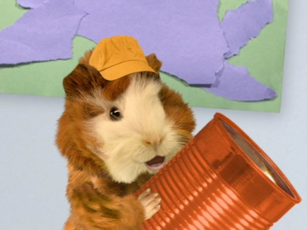 Wonder Pets - Save the Sea Lions/Save the Kangaroo!