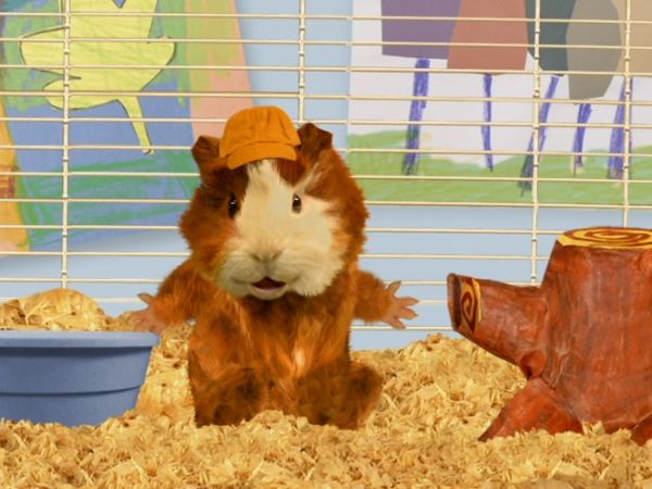 Wonder Pets - Save the Dragon!/Save the Beaver!