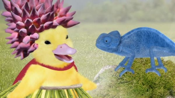 Wonder Pets - Save the Chameleon!/Save the Platypus!