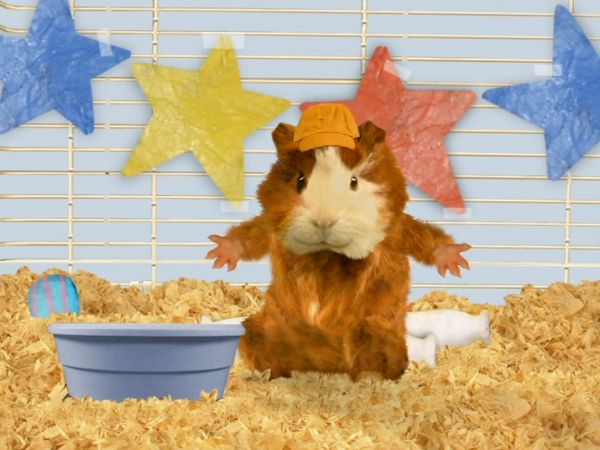Wonder Pets - Save the Bee!/Save the Squirrel!