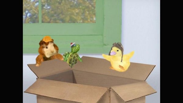 Wonder Pets - Save the Rock Lobster!/Help the Houseguest!