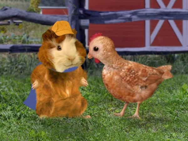 Wonder Pets - Save the Griffin!/Save the Rooster!