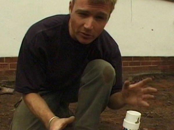 Real Rake-Overs - Wolverhampton Garden
