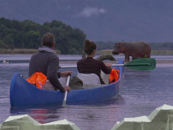 Safaris épicos - Pamuzinda Safari Lodge